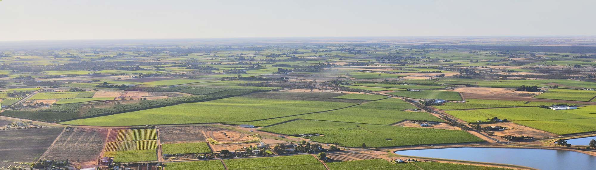 Australian Wine Murray Darling Wine Region